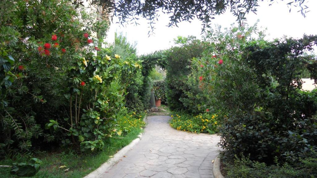 Maria Caderina Green Village Позада Екстериор снимка